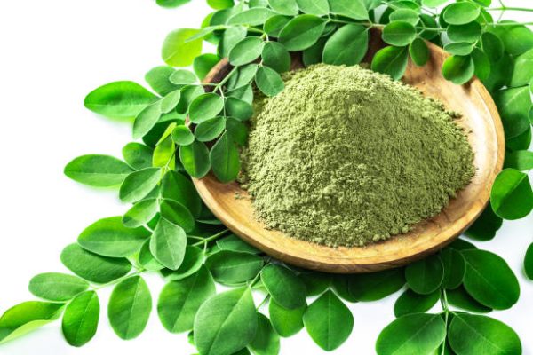 Moringa prah – prirodni izvor vitalnosti, energije i zdravlja.