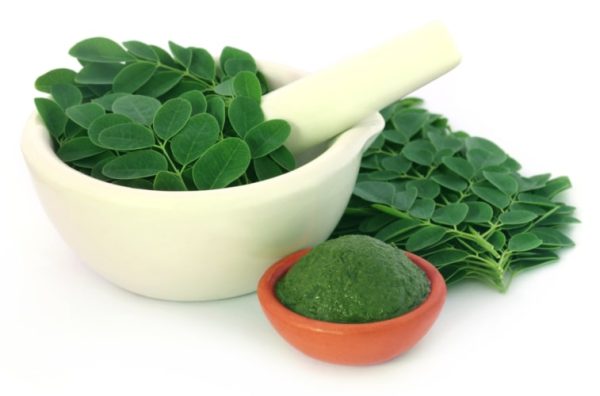 Organska Moringa u Prahu Just Superior – prirodni dodatak ishrani bogat vitaminima i mineralima.
