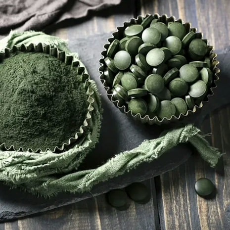 Organska Spirulina – prirodni izvor proteina i antioksidanasa