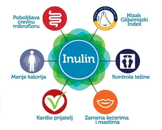 Inulina – prirodni prebiotik koji podržava crevni mikrobiom i probavno zdravlje