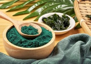 Organska spirulina u prahu – prirodni izvor proteina i antioksidanasa