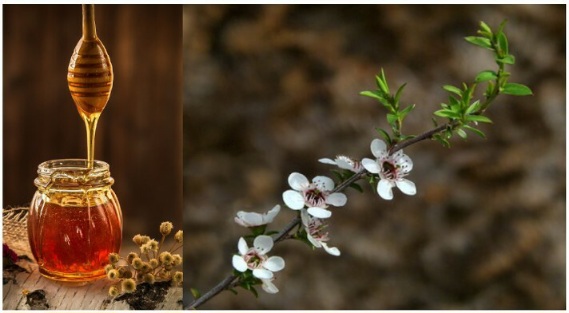 Manuka med – prirodna zaštita zdravlja, poznat po antibakterijskim svojstvima i lekovitim moćima.