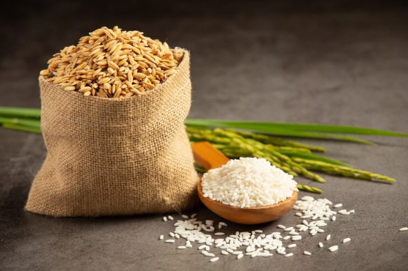 Pirinač – bogata, bezglutenska žitarica puna minerala i esencijalnih nutrijenata.