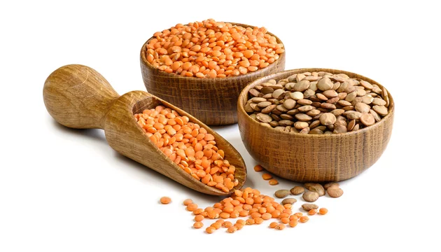 Sočivo – nutritivna mahunarka bogata vlaknima, proteinima i mineralima.
